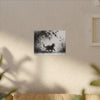 Canvas Wrap - Charcoal Garden Cat #5 - Unframed