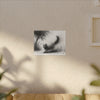 Canvas Wrap - Charcoal Garden Cat #4 - Unframed