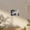 Canvas Wrap - Charcoal Garden Cat #5 - Unframed