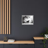 Gallery Canvas Wraps - Charcoal Garden Cat #5 - Framed