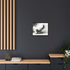 Gallery Canvas Wraps - Charcoal Garden Cat #4 - Framed