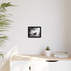 Gallery Canvas Wraps - Charcoal Garden Cat #5 - Framed