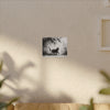 Canvas Wrap - Charcoal Garden Cat #5 - Unframed